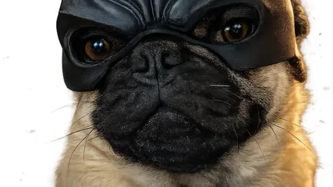 Mascara de superheroe para perros impresa en 3D en Paraguay